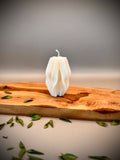 CORAL sculptural candle — ocean-inspired hand-poured soy wax design