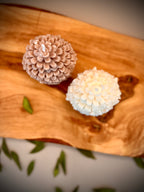 DUAL sculptural soy wax candle set — unscented decorative candles by Beyond Candle Store